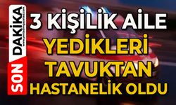 3 kişilik aile yedikleri tavuktan hastanelik oldu