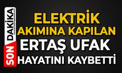Elektrik akımına kapılan Ertaş Ufak hayatını kaybetti