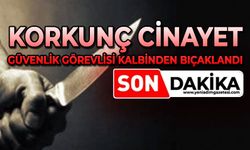 Korkunç cinayet: Güvenlik görevlisi kalbinden bıçaklandı