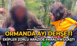 Ormanda ayı dehşeti: Ekipler zorlu arazide yaralıya ulaştı