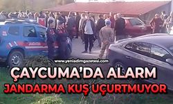 Çaycuma’da alarm jandarma kuş uçurtmuyor