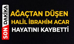 Ağaçtan düşen Halil İbrahim Acar hayatını kaybetti