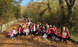 17-30 Kasım Erozyonla Mücadele Haftası