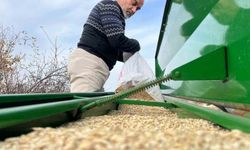 Çiftçilerin ekim mesaisi başladı