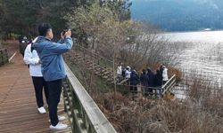 Doğa harikası Abant Gölü'ne ziyaretçi akını