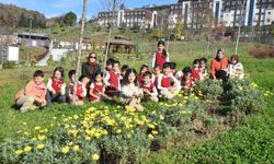 Düzce Üniversitesi botanik bahçesine miniklerden ziyaret