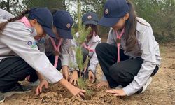 Fidanlar toprakla buluştu