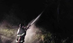 Orman yangını söndürüldü