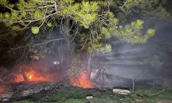Ormanlık alanda yangın