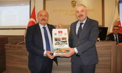 Pompeiopolis Antik Kenti film festivaliyle ismini dünyaya duyuracak