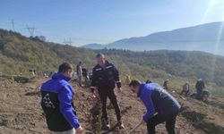 SEDAŞ, 4 ilde 500 fidanı toprakla buluşturdu