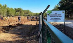 Şehit orman işçisi Enes Kızılyer anısına çeşme açılışı ve fidan dikimi yapıldı