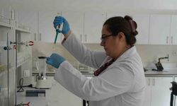 Sık sık gündeme gelen zehirlenmelerle ilgili uzmanlardan hayati uyarılar