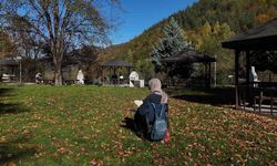 Türkiye’nin tek "cadı kazanı" şelalesinde sonbahar manzaraları