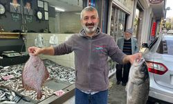 Yakalanan levrek ilgi odağı oldu