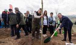 Yanan bölge 3 bin fidanla yeniden yeşerecek