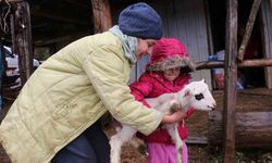 Yaylalardan köylere göç başladı