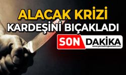 Alacak krizi: Kardeşini bıçakladı