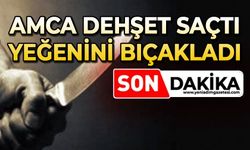Amca, yeğenini bıçakladı