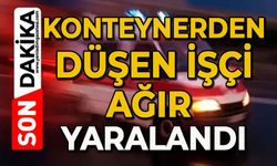 Tırın dorsesindeki konteynerden düşen işçi ağır yaralandı