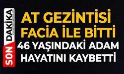 At gezintisi facia ile bitti: 46 yaşındaki adam hayatını kaybetti