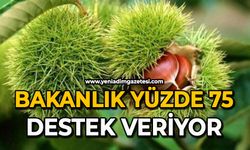 Bakanlık yüzde 75 destek veriyor