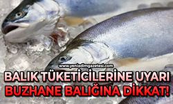 Balık tüketicilerine uyarı: "Buzhane balığına dikkat"
