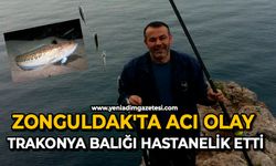 Zonguldak'ta acı olay: Trakonya balığı hastanelik etti