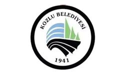 Kozlu Belediyesi geçici bakım hizmetleri ve biyosidal ürün uygulama hizmeti işi