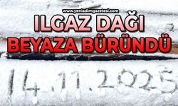Ilgaz Dağı beyaza büründü