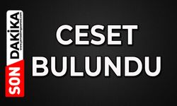 Ceset bulundu: Ekipler bölgeye sevk edildi