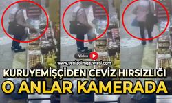 Kuruyemişçiden ceviz hırsızlığı: O anlar kamerada