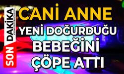 Cani anne: Yeni doğurduğu bebeğini çöpe attı