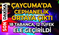 Çaycuma’da cephanelik ortaya çıktı: 18 tabanca, 12 tüfek ele geçirildi