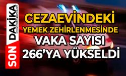 Cezaevindeki yemek zehirlenmesinde vaka sayısı 266’ya yükseldi