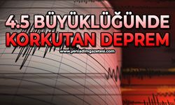 4.5 büyüklüğünde deprem