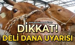 Dikkat: ’Deli dana’ uyarısı