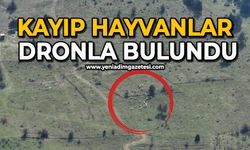 Kayıp hayvanlar dronla bulundu
