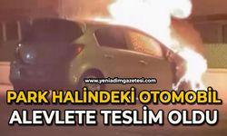 Park halindeki otomobil alevlere teslim oldu