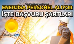 Enerjisa personel alıyor: İşte başvuru şartları