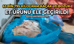 63 bin 795 kilogram kaçak ve bozuk et ürünü ele geçirildi