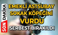 Emekli astsubay sokak köpeğini vurdu: Serbest bırakıldı