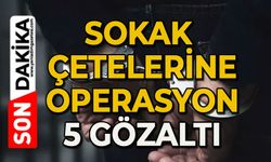 Sokak çetelerine operasyon; 5 gözaltı