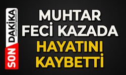 Muhtar feci kazada hayatını kaybetti