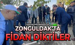 Zonguldak’ta fidan diktiler