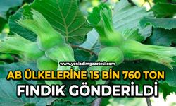 AB ülkelerine 15 bin 760 ton fındık gönderildi