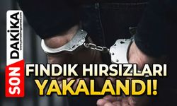 Depodan bir ton fındık çalan hırsızlar yakalandı