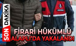 Firari hükümlü Alaplı’da yakalandı
