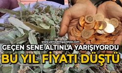 Geçen sene altınla yarışıyordu, bu yıl fiyatı düştü