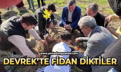 Devrek’te fidan dikim programı